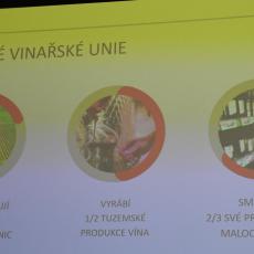 Členové Vinařské unie vyrábí 1/2 tuzemské produkce vína a nejenom to dělají