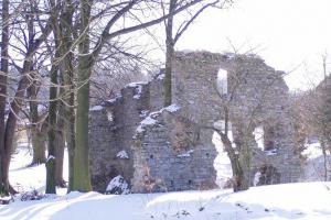 Romantická zřícenina tvrze stojí na ostrůvku v Koutech