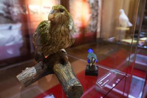 MZM představuje Zoologické oddělení Přírodovědného muzea