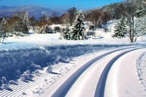 Šumava zve do „Bílé stopy“ milovníky běžeckého lyžování