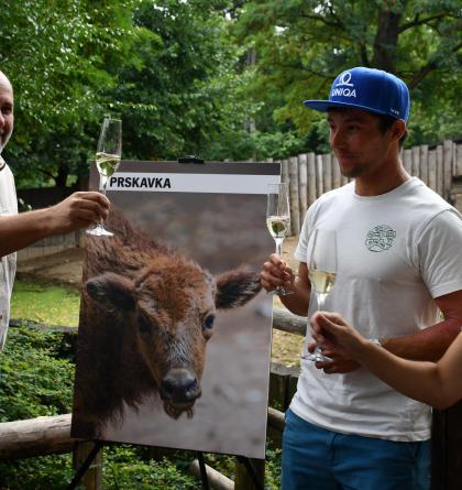 Jiří Prskavec pokřtil mládě zubra v ZOO Praha, které má jmeno začínající písmeny pr .. Prskavka