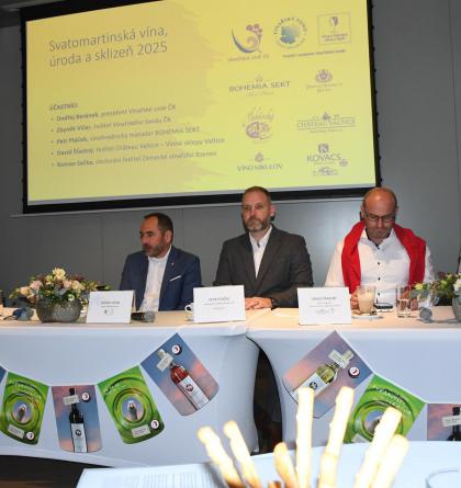 Svatomartinská vína v množství  1,9 milionu lahví budou k dispozici od 7. listopadu 2025