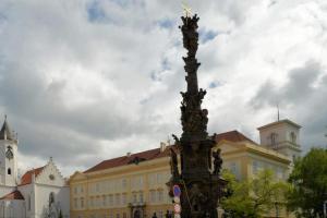 Muzeum v Teplicích zve na výstavu 300 let morového sloupu