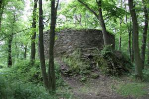 Zřícenina hradu Prácheň stojí na přemyslovském hradišti
