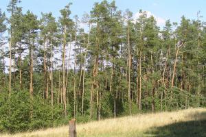 Setkání příznivců Slavkovského lesa se uskuteční 8. dubna