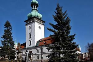 Výstava na zámku přiblíží 80 let vsetínského hokeje Výstava na zámku přiblíží 80 let vsetínského hokeje