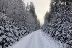 Mezi Frymburkem a Lipnem n.Vlt. je 22 kilometrů strojově upravených běžkařských tratí Mezi Frymburkem a Lipnem n.Vlt. je 22 kilometrů strojově upravených běžkařských tratí