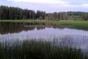 Kokotské rybníky přivítají ochranáře Kokotské rybníky přivítají ochranáře