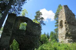Kolem hradu Louzek vedla zemská kupecká stezka z Horního Rakouska do Čech