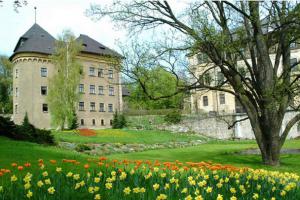 Velkomeziříčské muzeum zpřístupní zámeckou kapli i sklepení