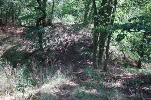Angerbach, hrad nebo hradiště ?