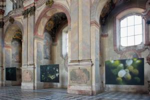 Severočeská galerie výtvarného umění v Litoměřicích zve na výstavu Kraj krajiny