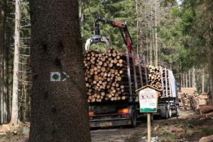 Otevírá se Medvědí stezka na Stožecku, uzavírka na Schwarzenberském kanále trvá Otevírá se Medvědí stezka na Stožecku, uzavírka na Schwarzenberském kanále trvá