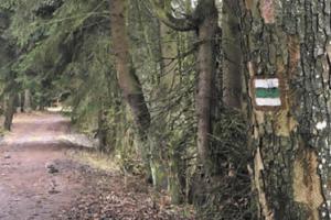 Turistické značení zlikvidované kůrovcem projde obnovou Turistické značení zlikvidované kůrovcem projde obnovou
