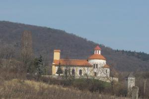 Želkovická maska střeží své tajemství