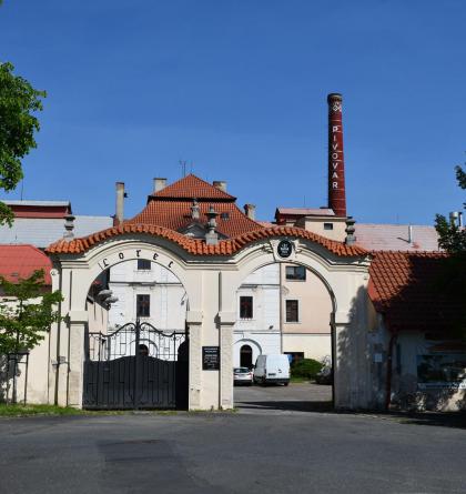 Zlatavý mok ze stříbrného města Kutné Hory se stáčí v tamějším pivovaru