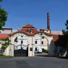 Zlatavý mok ze stříbrného města Kutné Hory se stáčí v tamějším pivovaru