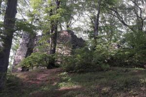Hrad Děvín u Mimoně byl takřka nedobytný
