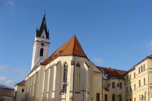 Schola Gregoriana Pragensis vystoupí v Třeboni