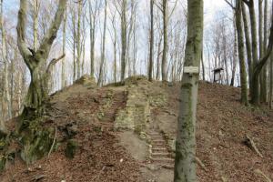 Hrad Starý Světlov vybudovali páni ze Šternberka Hrad Starý Světlov vybudovali páni ze Šternberka