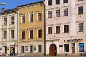 Výstava "Tropy v Jihlavě" je návratem do léta