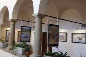 Muzeum Vysočiny Jihlava zve na výstavu Ikony na muzejních arkádách Muzeum Vysočiny Jihlava zve na výstavu Ikony na muzejních arkádách
