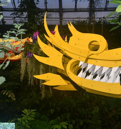 V Botanické zahradě v Praze v Troji ve skleníku Fata Morgana kvetou krásné orchideje - poklady z vietnamské džungle
