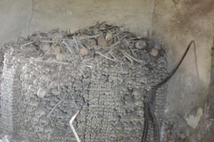 Jací byli? Antropologie v archeologii