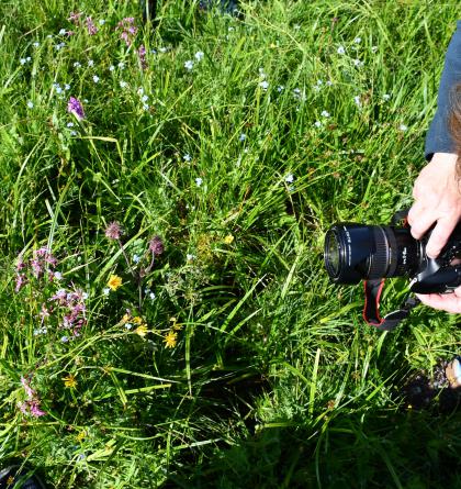 Půl tuctu fotografií pořízených členy České asociace novinářů a publicistů cestovního ruchu
