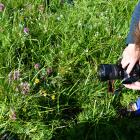 Půl tuctu fotografií pořízených členy České asociace novinářů a publicistů cestovního ruchu Půl tuctu fotografií pořízených členy České asociace novinářů a publicistů cestovního ruchu