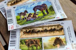 Turistická vizitka láká návštěvníky za zubry a divokými koňmi Turistická vizitka láká návštěvníky za zubry a divokými koňmi