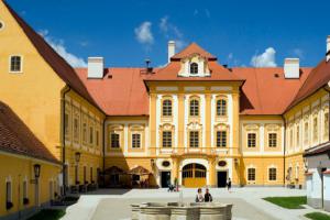 Střípky z Doudlebska v klášteře v Borovanech