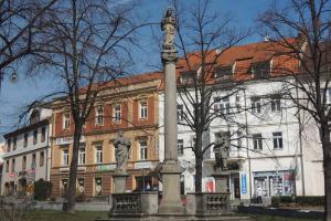 Mariánský sloup v Sedlčanech byl postaven k odvrácení morové epidemie