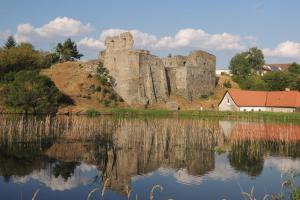 Poblíž jihočeského Borotína stojí malebná zřícenina hradu
