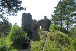 Významnou stavbou posledních Přemyslovců byl hrad Kamýk nad Vltavou Významnou stavbou posledních Přemyslovců byl hrad Kamýk nad Vltavou