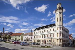 Galerie Kryt připravuje výstavu prací Šimona Čekala