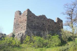 Romantická zřícenina tvrze Zavlekov stojí na skalnatém ostrohu