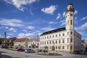 Výstava pro všechny milovníky přírody v galerii Kryt
