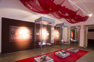 Moravské zemské muzeum vystavuje vzácné zkameněliny
