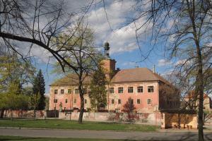 Zámek v Kounici střeží dva mouřenínové od Ferdinanda Maxmiliána Brokoffa Zámek v Kounici střeží dva mouřenínové od Ferdinanda Maxmiliána Brokoffa
