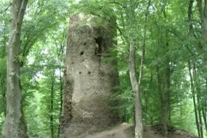 Hrad Chřenovice u Sázavy byl šlechtického založení