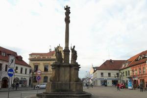 Mariánský sloup v Poděbradech je jedna z dominant významně dotvářející prostor náměstí Mariánský sloup v Poděbradech je jedna z dominant významně dotvářející prostor náměstí