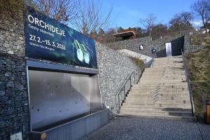 Skleník Fata Morgana v Botanické zahradě v Praze září barevnými květy orchidejí