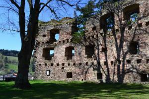 Hrad Dalečín byl sídlem lapků