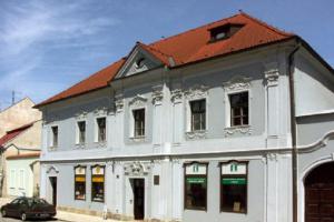 Přírodovědcem v muzeu aneb Zeptejte se Johany v Třešti Přírodovědcem v muzeu aneb Zeptejte se Johany v Třešti