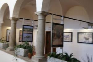 Muzeum Vysočiny Jihlava zve na výstavu s názvem S fotoaparátem za humny Muzeum Vysočiny Jihlava zve na výstavu s názvem S fotoaparátem za humny