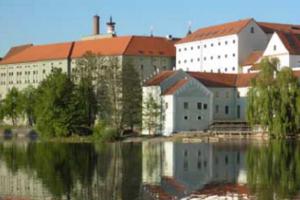 V písecké Sladovně připravují výstavu Svět podle Šaška