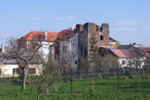Tvrz Dobrš patřila rodu Koců do roku 1608
